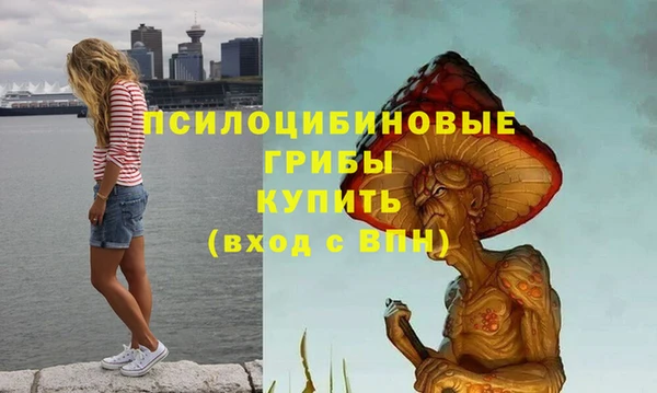MDMA Сосновка