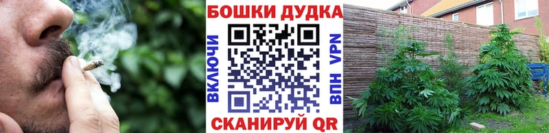 дарнет шоп  Верхний Тагил  Шишки марихуана тримм 